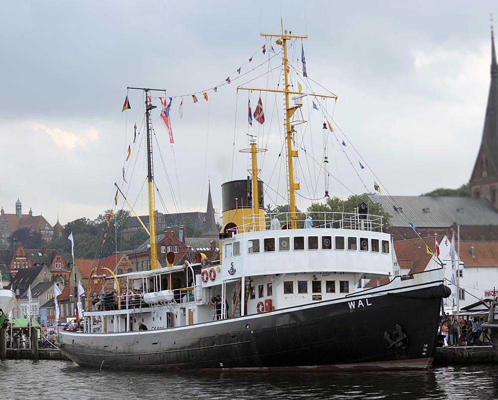 Bauplan Dampfeisbrecher WAL