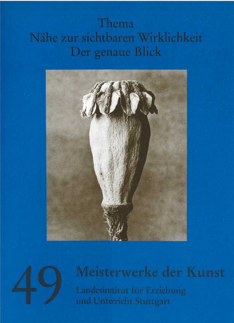 Kunstmappe 49/2001 - Nähe zur sichtbaren Wirklichkeit (Der genaue Blick)